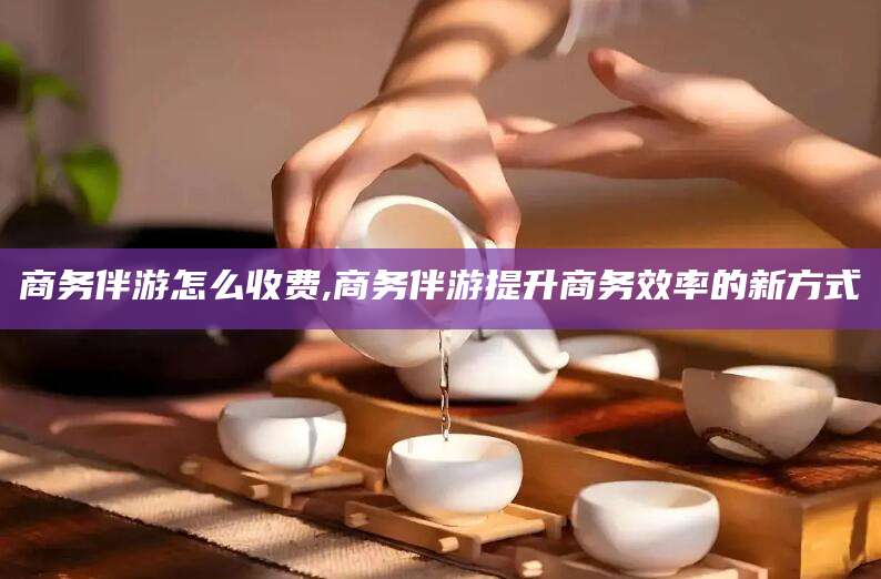 东平商务伴游怎么收费,商务伴游提升商务效率的新方式