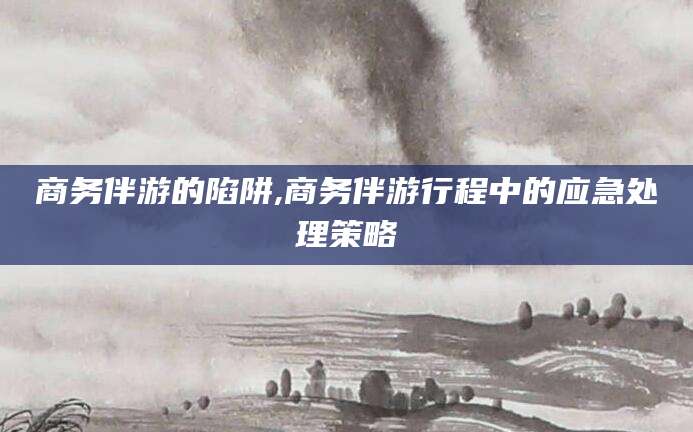 东平商务伴游的陷阱,商务伴游行程中的应急处理策略