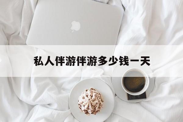 游戏陪玩一般多少钱一个小时最新资讯（谁能告诉我哪里有东平私人伴游伴游多少钱一天？）